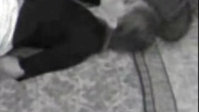 Καυτό πορνό χωρίς εγγραφή  Ενήλικες καθηγητές τηγανίζουμε τους μαθητές τους δωρεαν ελληνικα πορνο βιντεο