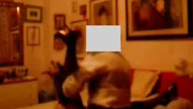 Καυτό πορνό χωρίς εγγραφή  Ενήλικες γυναίκες φωτίζουν δωρεαν ελληνικο πορνο με έναν νεαρό άνδρα
